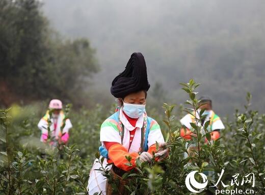 把耽誤的時間搶回來 把遭受的損失補回來